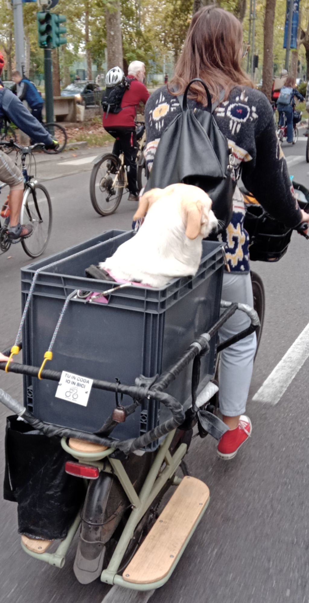 Una ragazza su una Bicicapace pedala con un cassone fissato sul portapacchi posteriore della bici, dentro il quale c'è un cane bianco con le orecchie beige. Dietro la bici si nota un cartellino "Tu in coda io in bici".